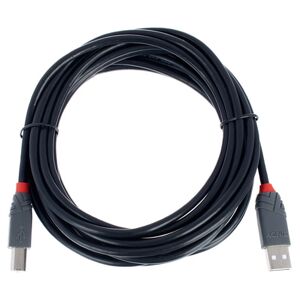 Lindy USB 2.0 Cable Typ A/B 5m noir