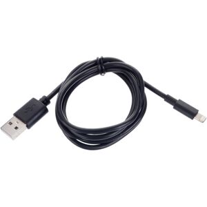 Ansmann Lightning/ USB-A 100