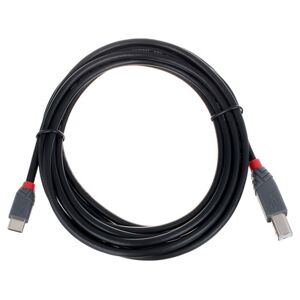 Lindy 3m USB 2.0 Typ C/B Anthra Noir