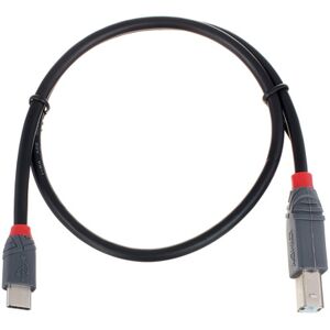 Lindy 0,5 m USB 2.0 Typ C/B Anthra Noir