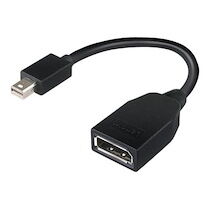 IBM Adaptateur DisplayPort - 17.6 cm