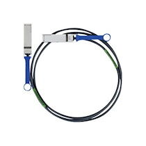 Mellanox Passive Copper Cables - câble InfiniBand - 2 m
