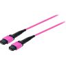 Digital Data Communications LWL patchkabel MTP->MTP 10.00m multimode OM4 Aqua netwerk multimodefase