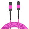 AMPCOM MPO aan MPO-Boomstamkabel 50/125μm Multimode OM4 (12 Vezel, MPO aan MPO Wijfje, Type B, LSZH/Riser, UPC, Magenta) 1m (3ft)