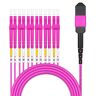 AMPCOM MPO aan LC Breakout-Kabel 50/125μm Multimode OM4 (12 Vezel, MPO aan LC, Type B, LSZH/Riser, UPC, Magenta) 25m (82ft)