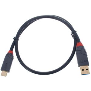 Lindy USB 3.1 Typ A/C 0,5m Anthra