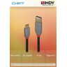 Lindy 0.5m Usb 3.2 Type A To C Cable  5a