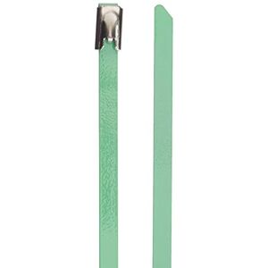 DeLOCK Stainless Steel Cable Ties L 300 x W 4.6 mm Green Pack of 10