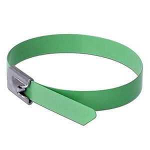 DeLOCK Stainless Steel Cable Ties L 300 x W 7.9 mm Green Pack of 10