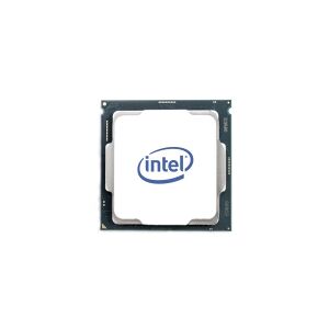 Intel Xeon W-2295 - 3 GHz - 18-kerne - 36 tråde - 24.75 MB cache - LGA2066 Socket
