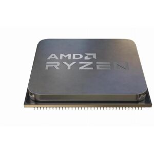 AMD Ryzen 5 5600G processeur 3,9 GHz 16 Mo L2 & L3 - Neuf