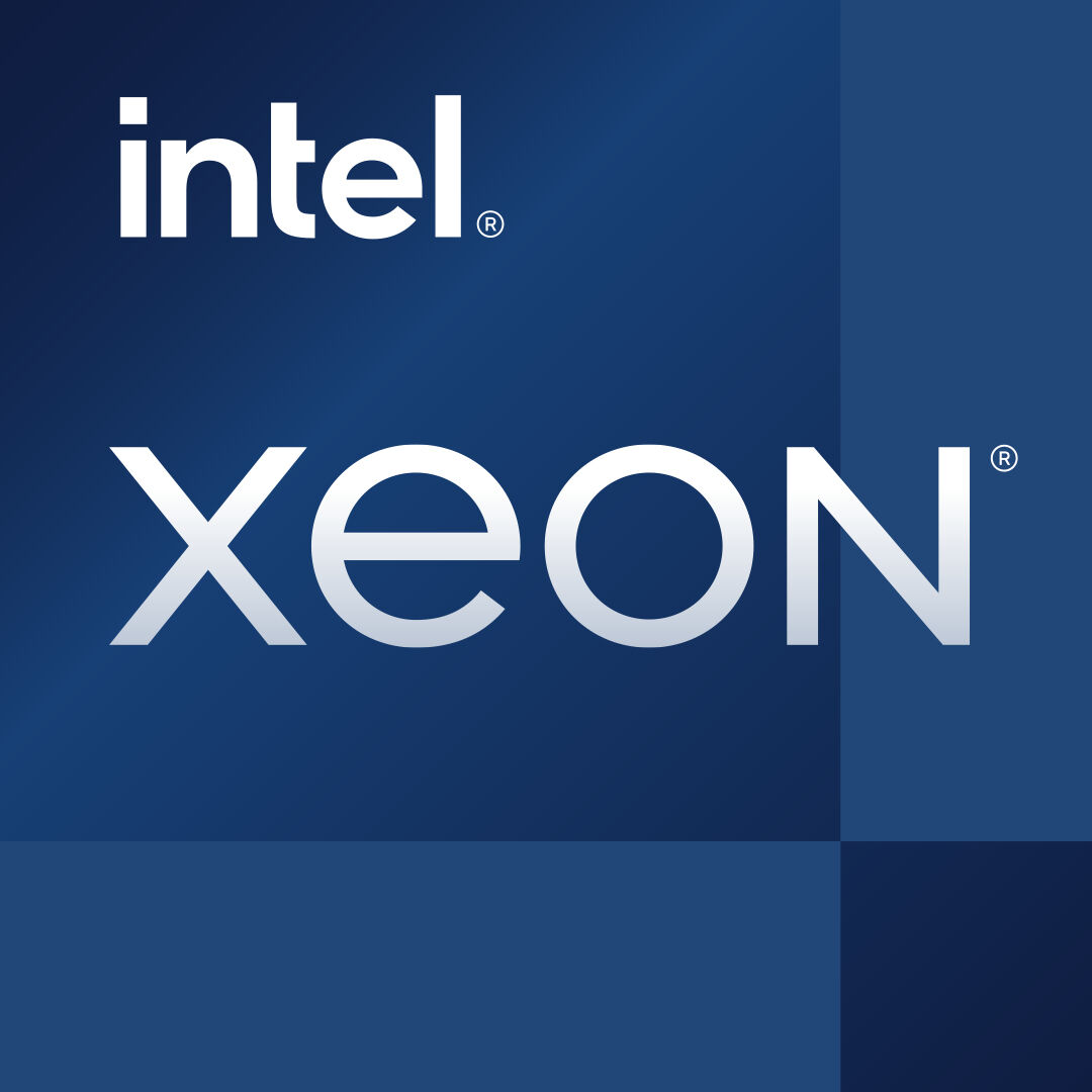 Intel Xeon E-2324G processore 3,1 GHz 8 MB Cache ligente Scatola [BX80708E2324G]