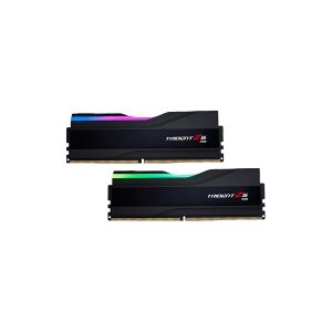 G.Skill Trident Z5 RGB - DDR5 - sæt - 64 GB: 2 x 32 GB - DIMM 288-PIN - 6400 MHz / PC5-51200 - CL32 - 1.4 V - ikke bufferet - ikke-ECC - mat sort, børstet sort aluminium