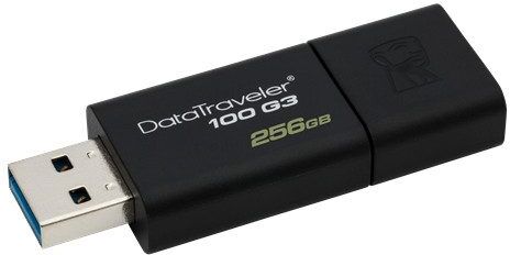 Kingston USB 3.1 USB-minne 256GB