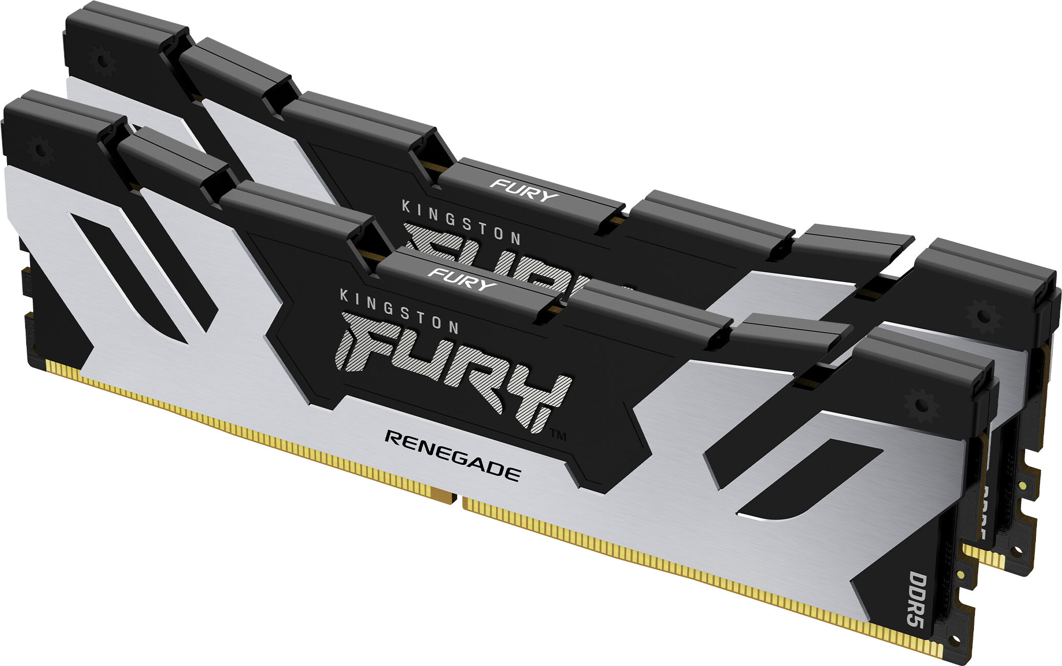 Kingston Memoria  FURY 64GB 6400MT/s DDR5 CL32 DIMM (Kit da 2) Renegade Silver XMP [KF564C32RSK2-64]