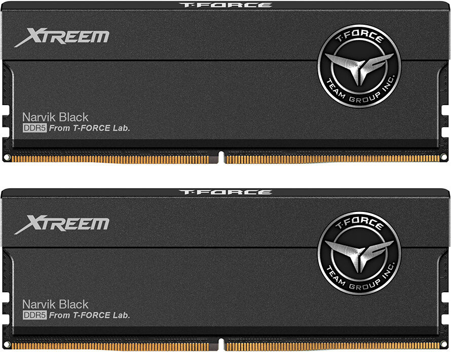 Team Group T-FORCE XTREEM FFXD548G8000HC38EDC01 memoria 48 GB 2 x 24 DDR5 8000 MHz Data Integrity Check (verifica integrità dati) [FFXD548G8000HC38EDC01]