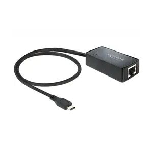 DeLock Ethernet 1000Mbit/s Netzwerkkarte Adapter SuperSpeed USB 3.1 Gen 1 mit Type-C Stecker > Gigabit LAN 10/100/1000 Mb/s