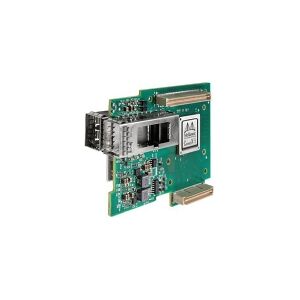 NVIDIA ConnectX-5 EN - Netværksadapter - OCP 2.0 - 25 Gigabit SFP28 x 2