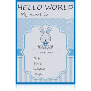 Milestone Cards Bunny For a Boy cartes-étapes 1 pcs