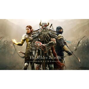 Microsoft Store The Elder Scrolls Online (Xbox ONE / Xbox Series X S)