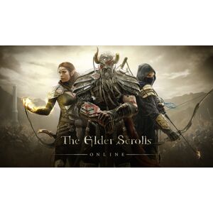 Other The Elder Scrolls Online