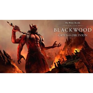 Microsoft Store The Elder Scrolls Online: Blackwood (Xbox ONE / Xbox Series X S)