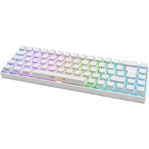 Deltaco WK95R – Mechanische Gaming Tastatur (Kabellos, RGB Beleuchtung, 65%, Deutsches Layout QWERTZ, Front Lasering) – Weiß