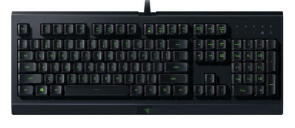 Razer Cynosa Lite - Gaming-Keyboard - GER-Layout