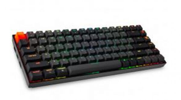 Divers Keychron K2 Compact Gaming Tastatur / Brown-Switch / RGB - schwarz - US-Layout