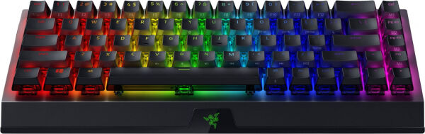 Razer - BlackWidow V3 Mini HyperSpeed Phantom Edition (Green Switch) [US Layout]