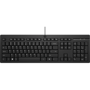 Hewlett Packard HP 266C9AA - Tastatur, USB, schwarz