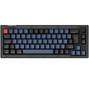 Keychron V2 QMK 65% RGB Knob Hotswap Tastatur - Frosted Black [K Pro Brown]