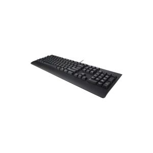 Lenovo Preferred Pro II - Tastatur - USB - QWERTY - tjekkisk - sort - FRU