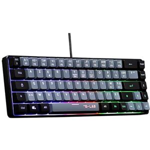 The G-Lab Keyz Hydrogen, Clavier Gamer 60%, Clavier Semi-mécanique Filaire Azerty, Rétroéclairage Multicolore- Mini Clavier Gamer Silencieux, Format Compact TKL PC/PS5-2023 (Gris/Noir) - Publicité