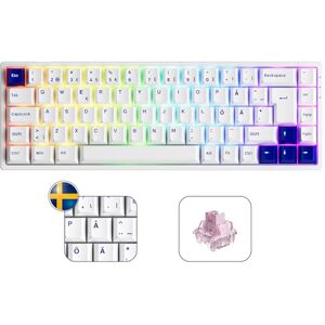 Akko 3068B Plus Clavier de Jeu mécanique RVB, Disposition ISO-DE/Nordique, 3 Modes (BT5.0/2,4 GHz/Type C), Mini Clavier Compact avec échange à Chaud, Touches Cherry PBT, programmable (Rose Jelly) - Publicité