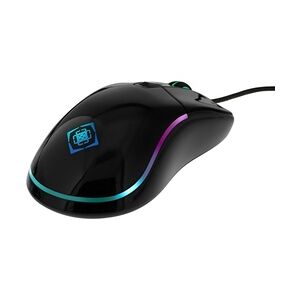 Deltaco Optische Gaming Maus RGB (PMW3325, 400-5000 DPI, 1000 Hz, LED, USB)