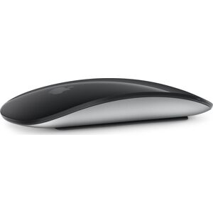 Apple Magic Mouse, Sort