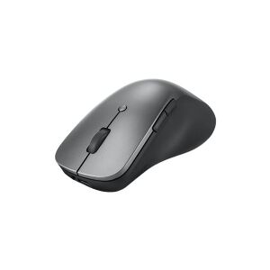 Lenovo Professional - Mus - ergonomisk - blå optisk - 6 knapper - trådløs - Bluetooth 5.1 - stormgrå