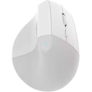 IOPLEE 562BTR mouse Mano destra RF Wireless 1600 DPI