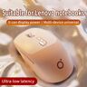 Mouse sem fio Bluetooth  adequado para Lenovo Thinkpad Notebook  Notebook Rescuer  Y7000p  Xiaoxin