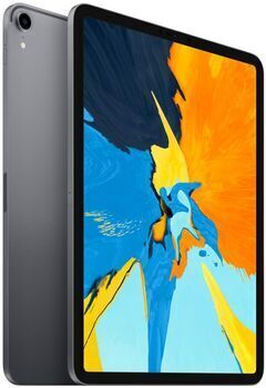 Apple iPad Pro 1 (2018)   11.0"   256 GB   spacegrau   4G