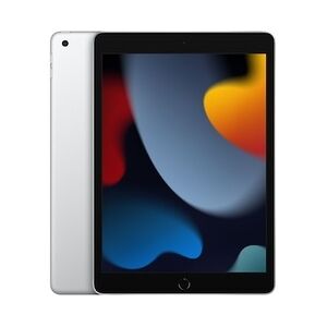 Apple iPad 10,2