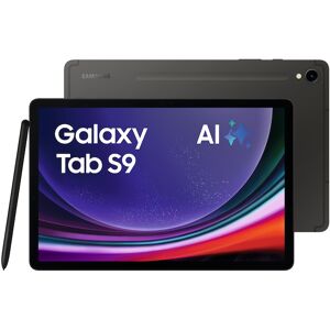 Samsung GALAXY Tab S9 X710N WiFi 256GB graphite Android 13.0 Tablet