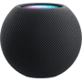 apple homepod mini space grau