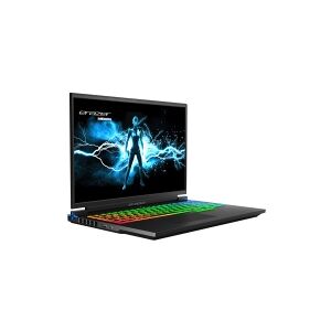 Medion ERAZER Major X10 - Intel Core i7 - 12700H / op til 4.8 GHz - Win 11 Home - Arc A730M - 16 GB RAM - 1 TB SSD NVMe - 16 IPS 2560 x 1600 (QHD) @ 165 Hz - Wi-Fi 6 - sort - kbd: Nordisk