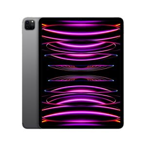 Apple iPad Pro 6e génération 12,9  Puce M2 (2022),