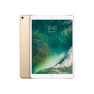 Tablette Apple iPad Pro (2017) 10.5" Wi-Fi 512 Go Or - Publicité