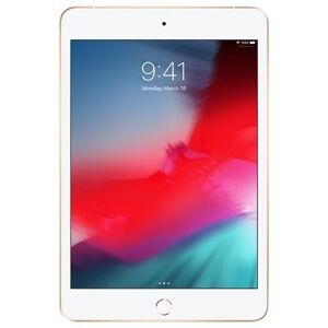 Tablette Apple iPad mini 5 (2019) Wi-Fi + Cellular 256 Go 7.9 pouces Or - Publicité