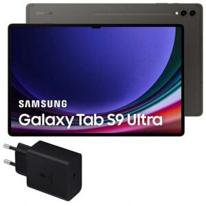 Tablette Samsung Galaxy Tab S9 Ultra 12 GB RAM 256 GB 14,6 Gris