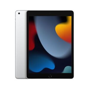 Apple iPad 10,2" 256 Go Argent Wifi 9 ème génération 2021 Argent - Publicité